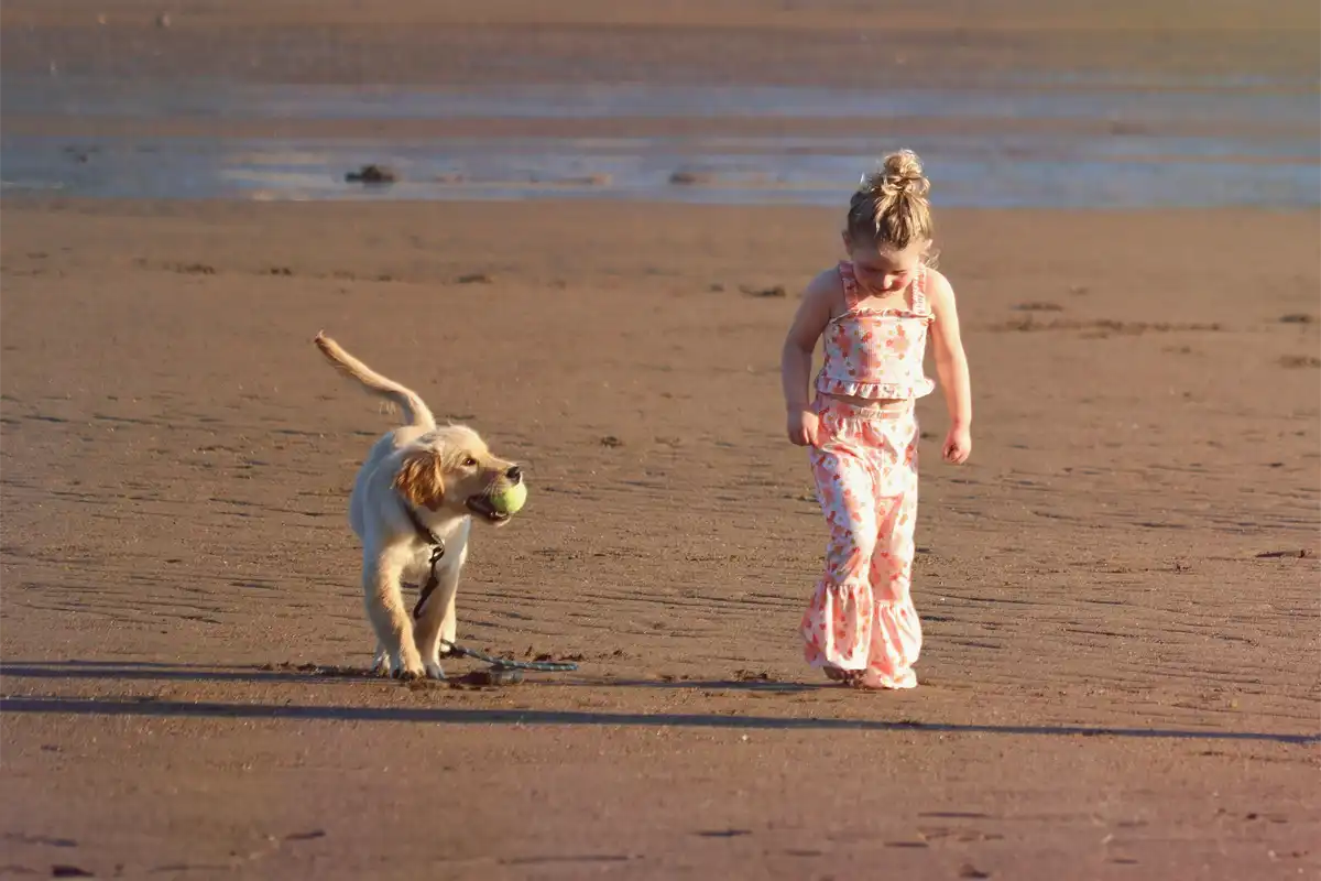 Featured image for “Honden en kinderen”